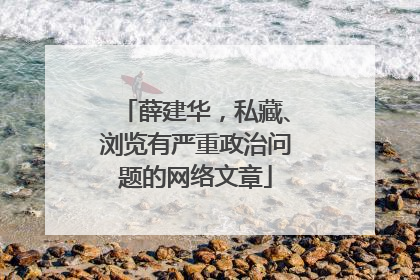 薛建华，私藏、浏览有严重政治问题的网络文章